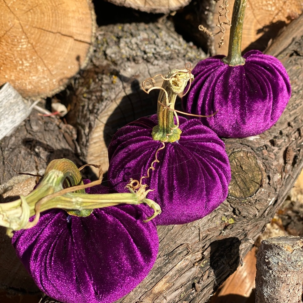 Velvet pumpkins - Picture 5 of 5